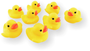 duckies-yellow